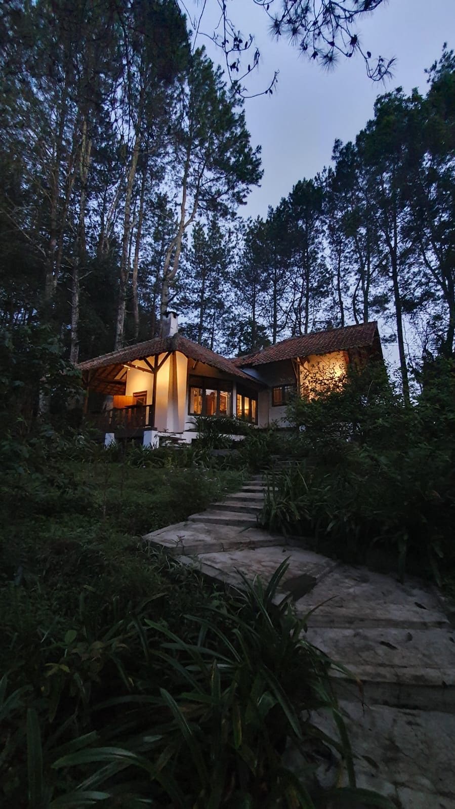 A cozy hostel is set among tall trees, with soft evening light highlighting its exterior. A stone pathway meanders through lush greenery, leading to the welcoming entrance, where large windows allow a glimpse into the warm atmosphere inside.