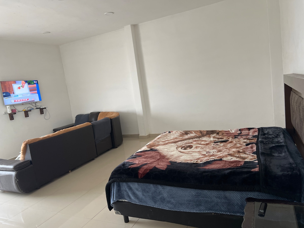 A light-filled room features a spacious bed draped with a decorative blanket. A cozy seating area with a dark-colored sofa is positioned nearby. A television mounted on the wall provides entertainment options, while the minimalist decor creates a sense of openness.