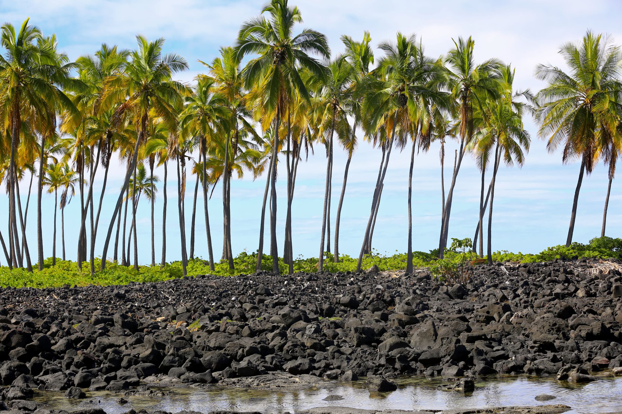 Condo in Kailua-Kona · ★4.98 · 2 bedrooms · 2 beds · 2 shared baths - Image 45