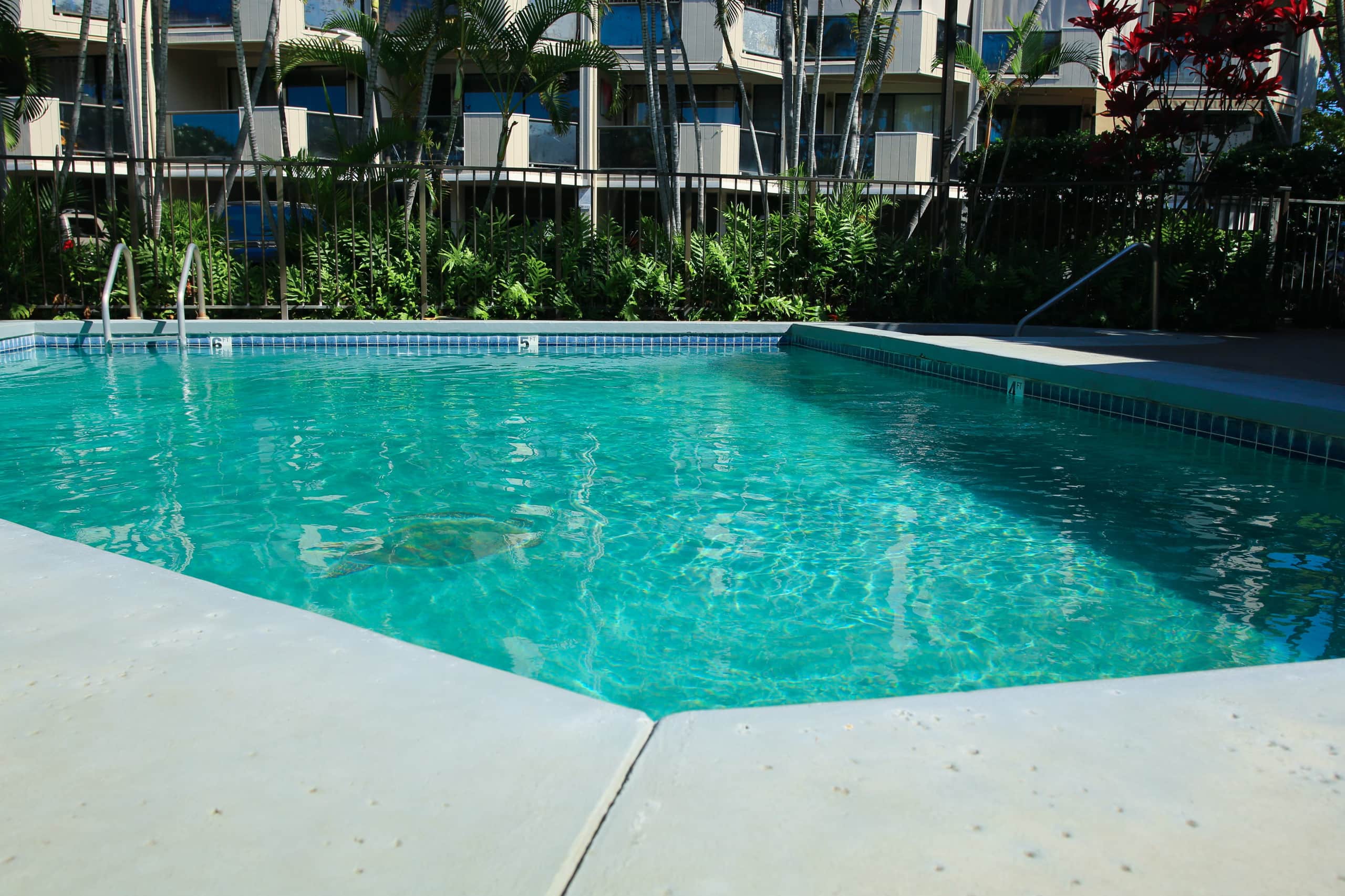 Condo in Kailua-Kona · ★4.98 · 2 bedrooms · 2 beds · 2 shared baths - Image 33