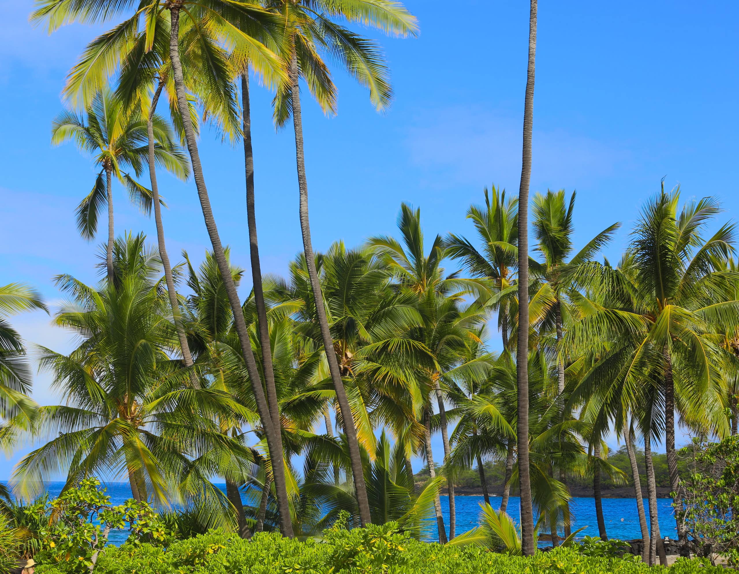 Condo in Kailua-Kona · ★4.98 · 2 bedrooms · 2 beds · 2 shared baths - Image 43