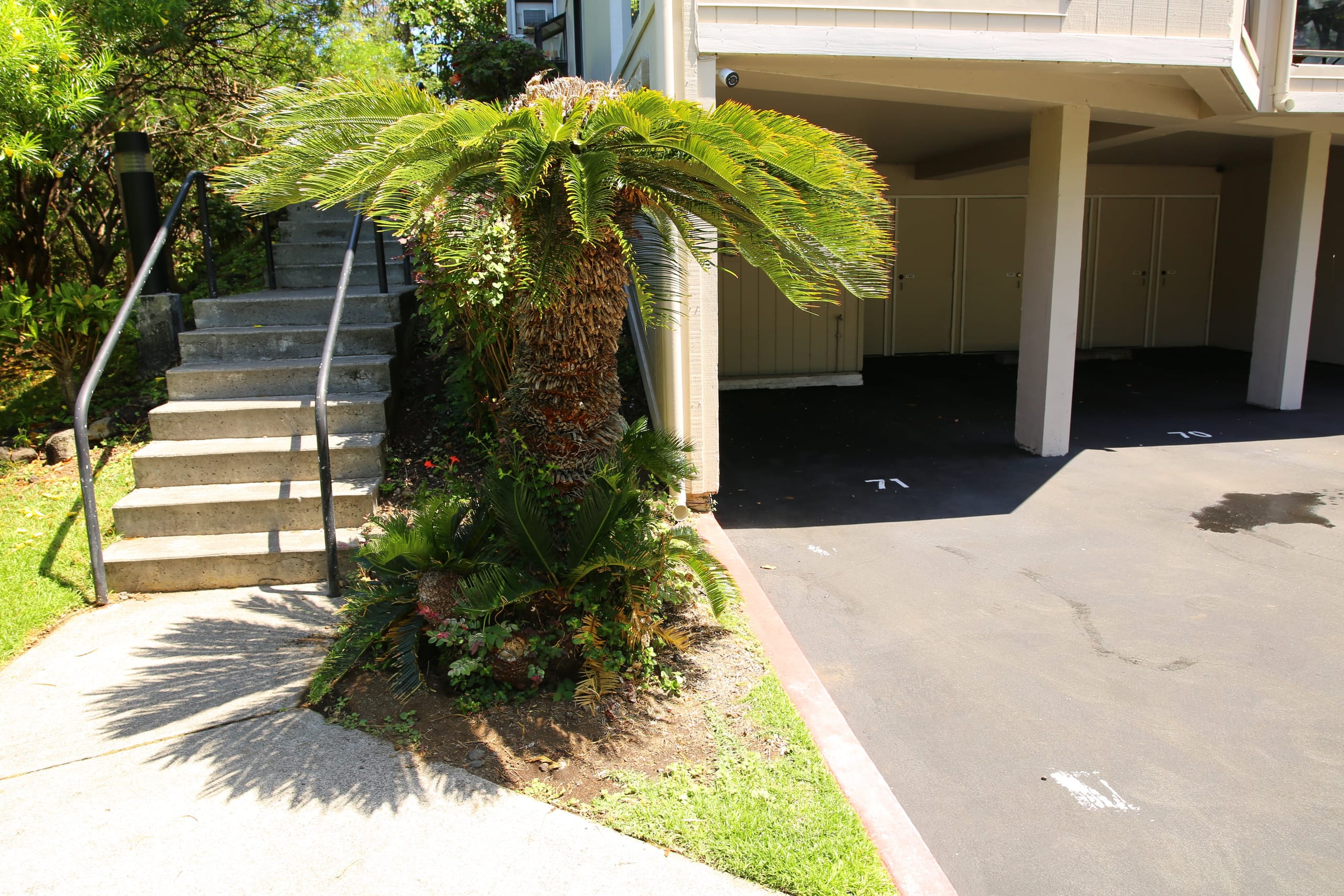 Condo in Kailua-Kona · ★4.98 · 2 bedrooms · 2 beds · 2 shared baths - Image 29