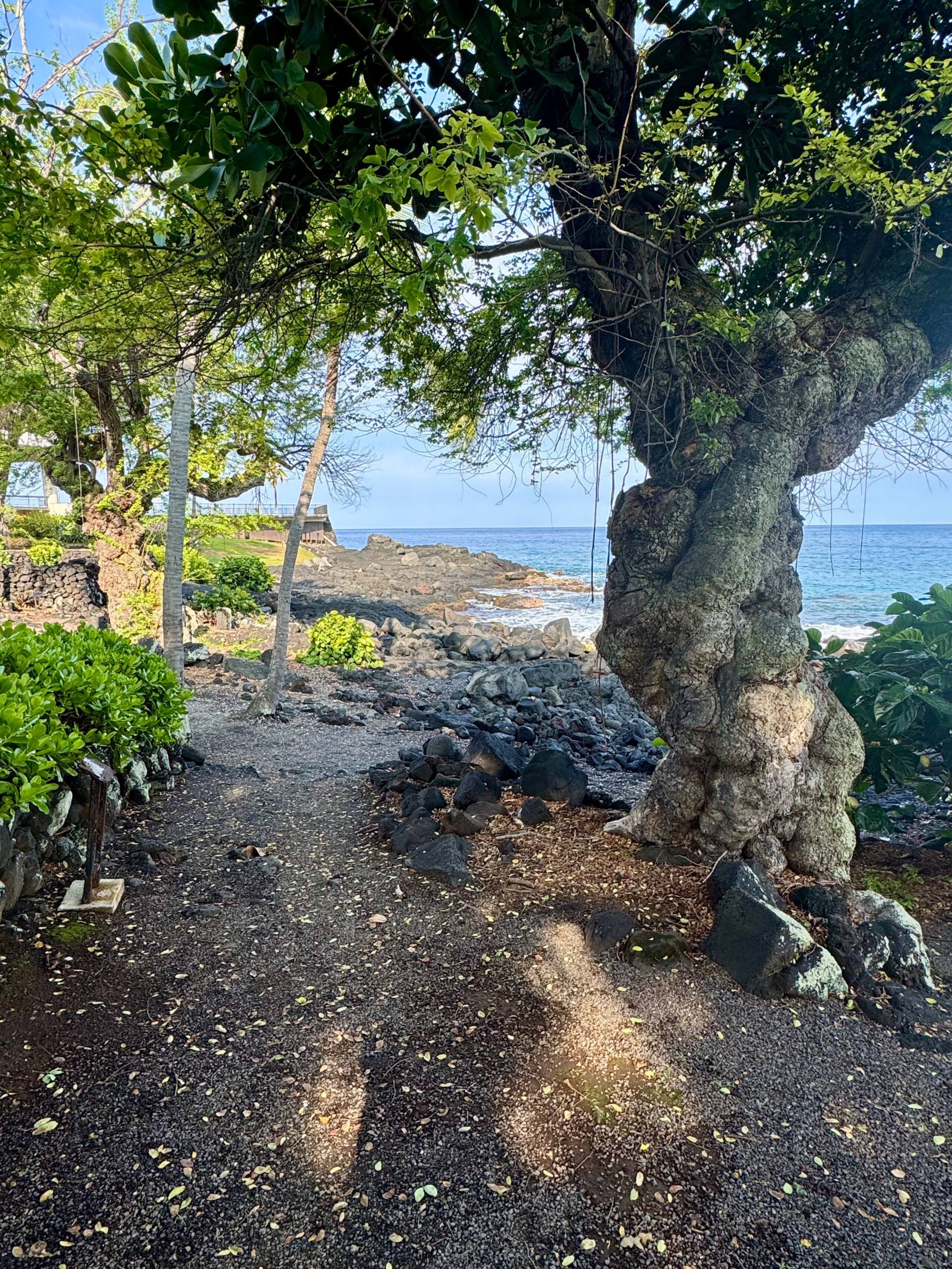 Condo in Kailua-Kona · ★4.81 · 2 bedrooms · 2 beds · 2 baths - Image 72