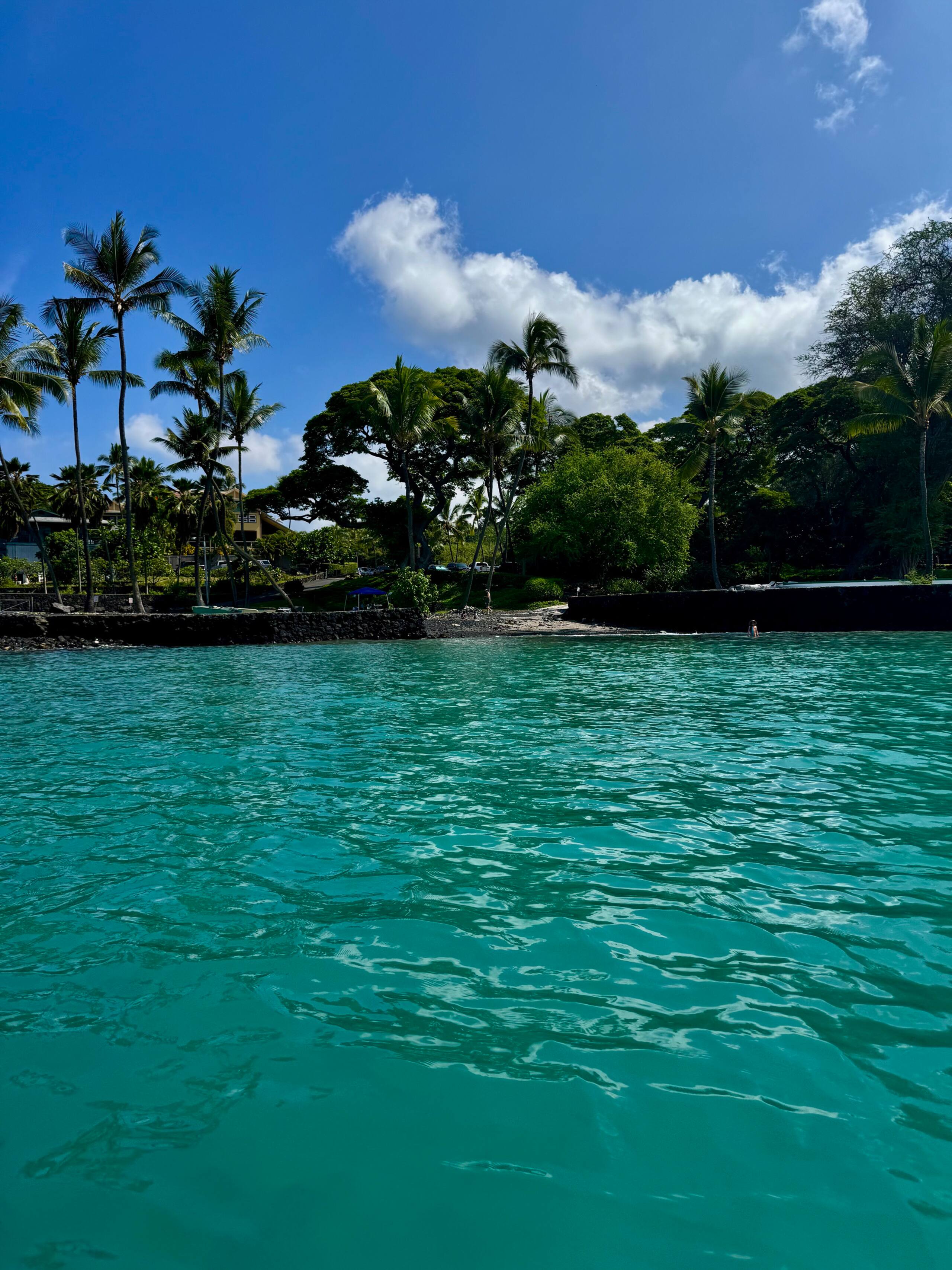 Condo in Kailua-Kona · ★4.81 · 2 bedrooms · 2 beds · 2 baths - Image 76