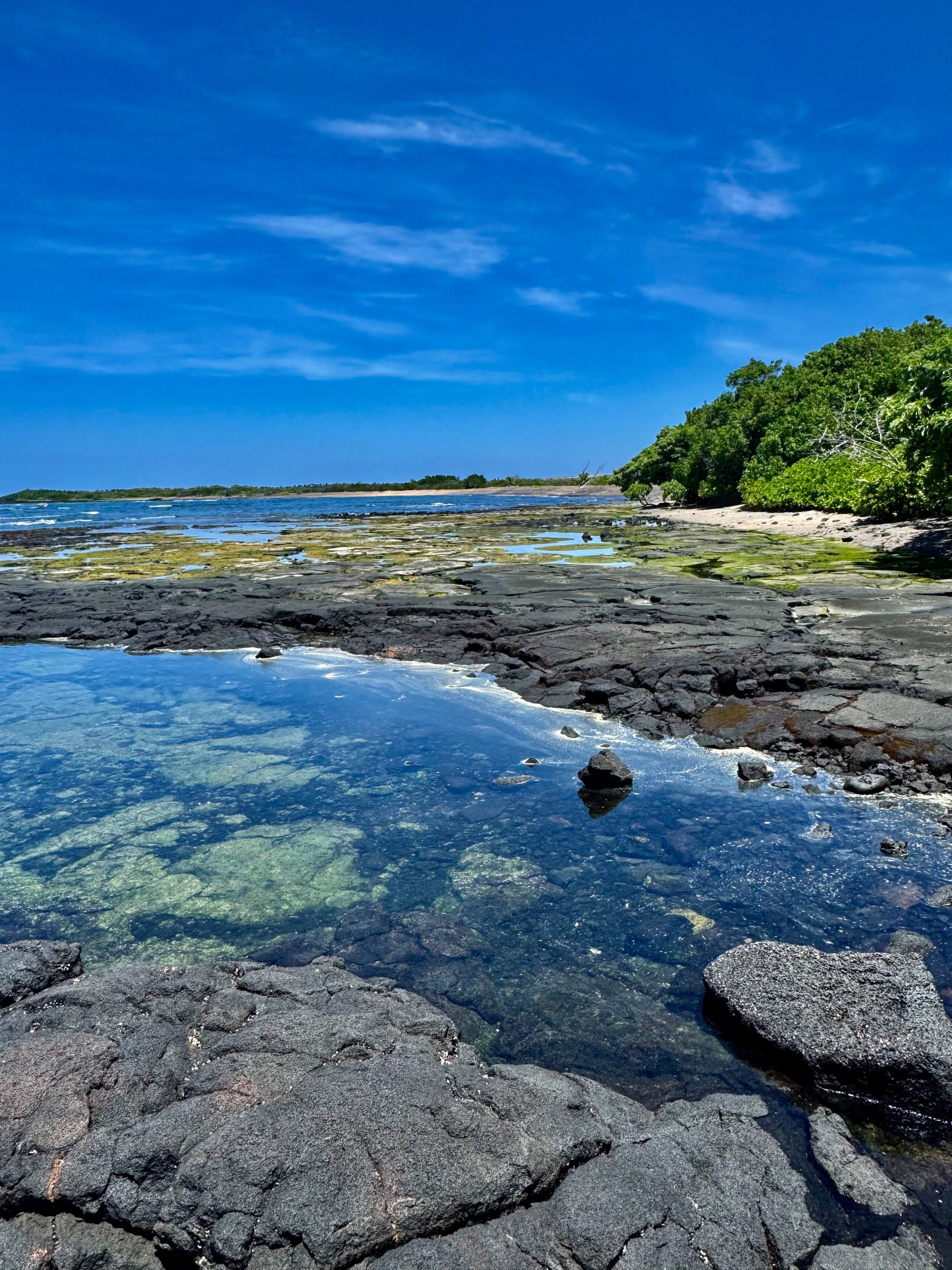 Condo in Kailua-Kona · ★4.81 · 2 bedrooms · 2 beds · 2 baths - Image 74