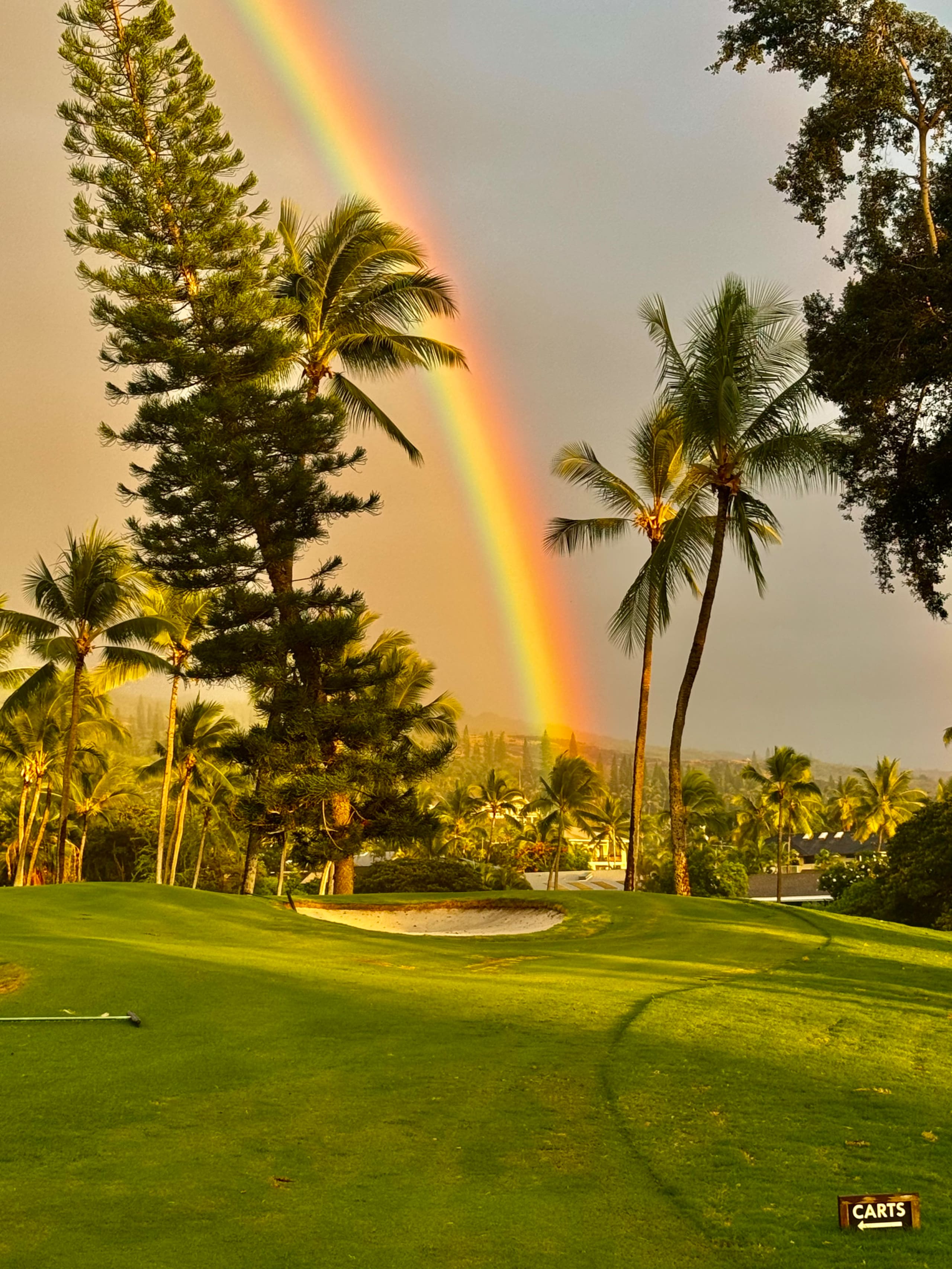 Condo in Kailua-Kona · ★4.81 · 2 bedrooms · 2 beds · 2 baths - Image 48