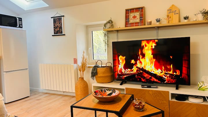 T3 Chaleureux à 250m De La Gare - 10 Min Du Centre - Villefranche-sur-Saône