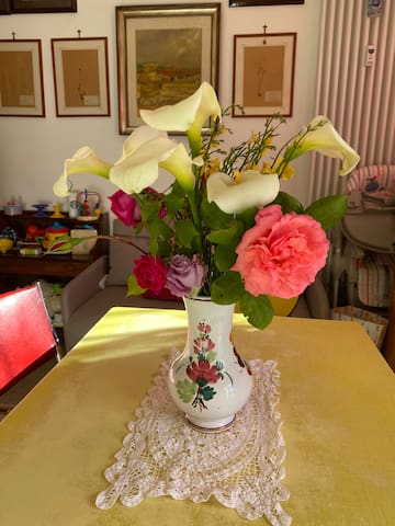 Urbis central Garbatella