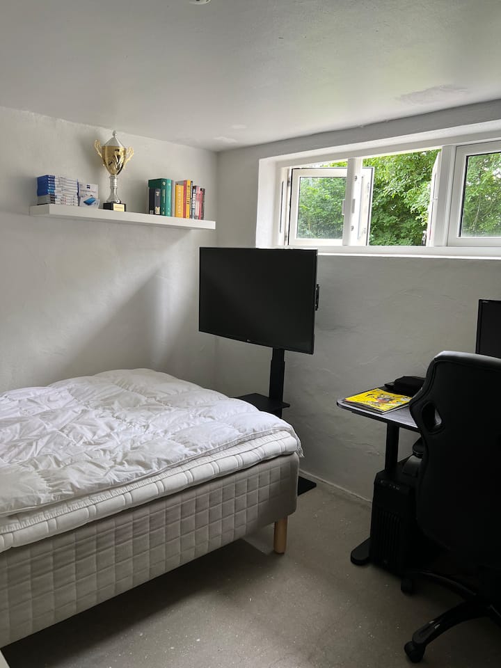 Quarto 4