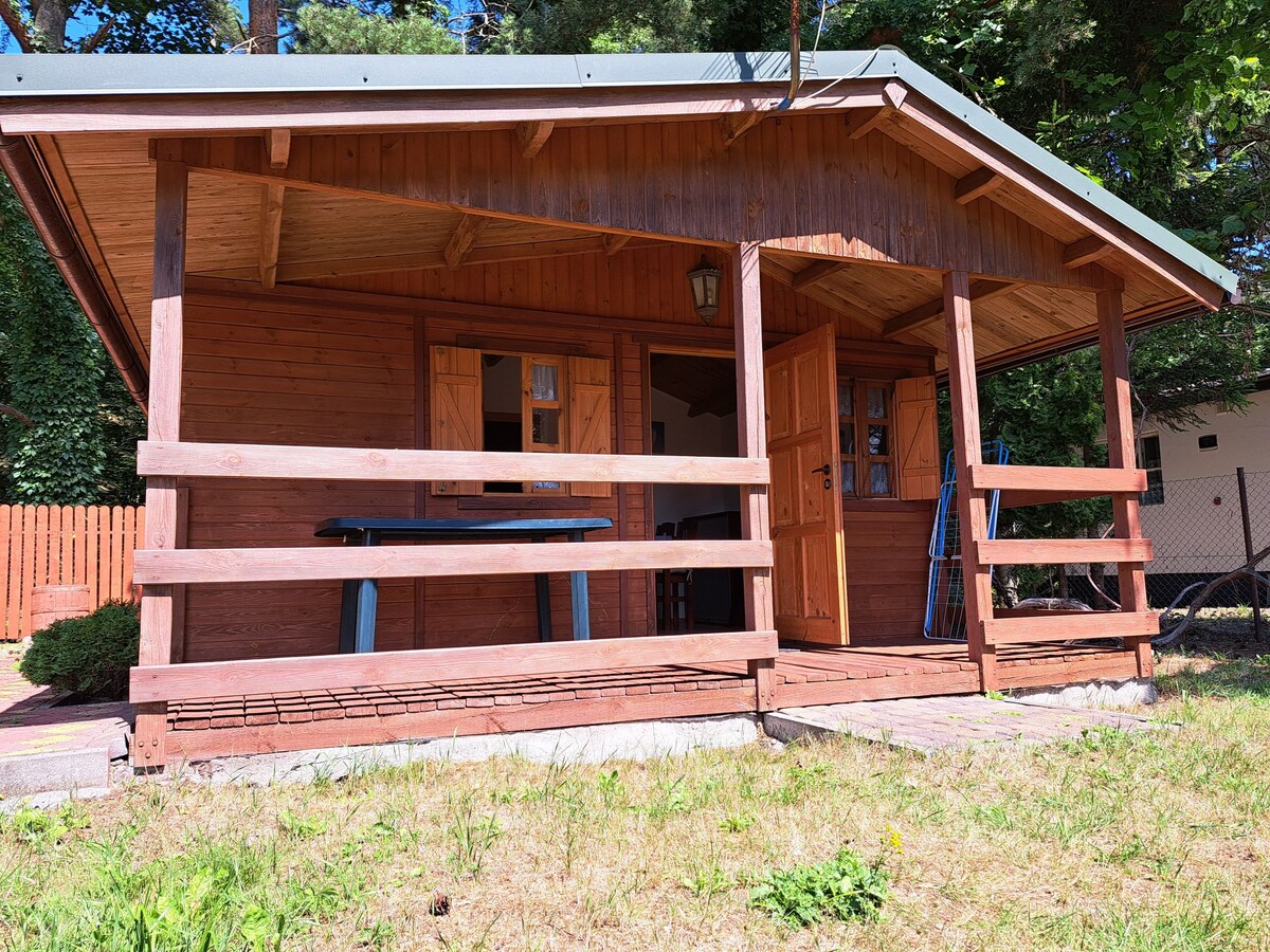A wooden cabin exterior features a covered porch with a table, providing a space for outdoor relaxation. The front door is framed by two windows, while a vibrant green lawn surrounds the cabin. Sunlight filters through the trees, enhancing the serene environment.