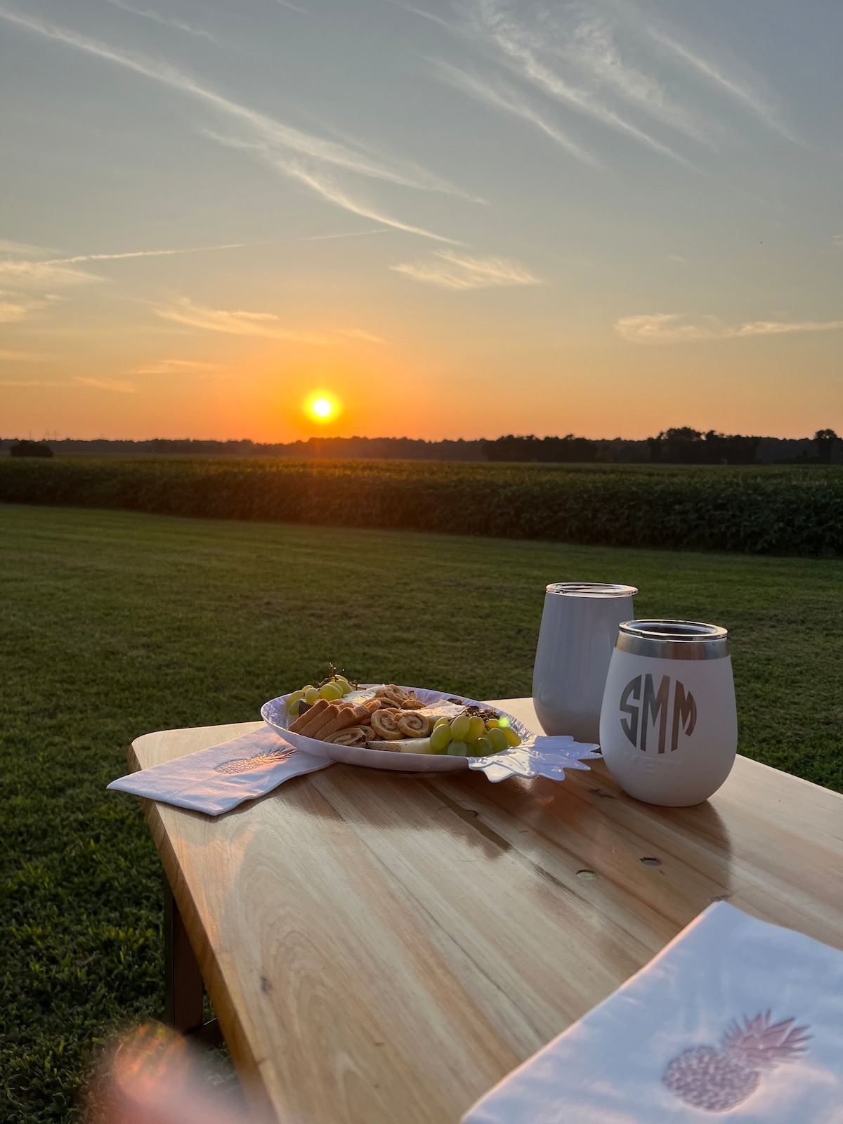 A wooden table is set outdoors, featuring a plate of pasta with fresh fruit, accompanied by two insulated drink containers. In the background, a vibrant sunset casts warm orange and pink hues over a green field and distant tree line.