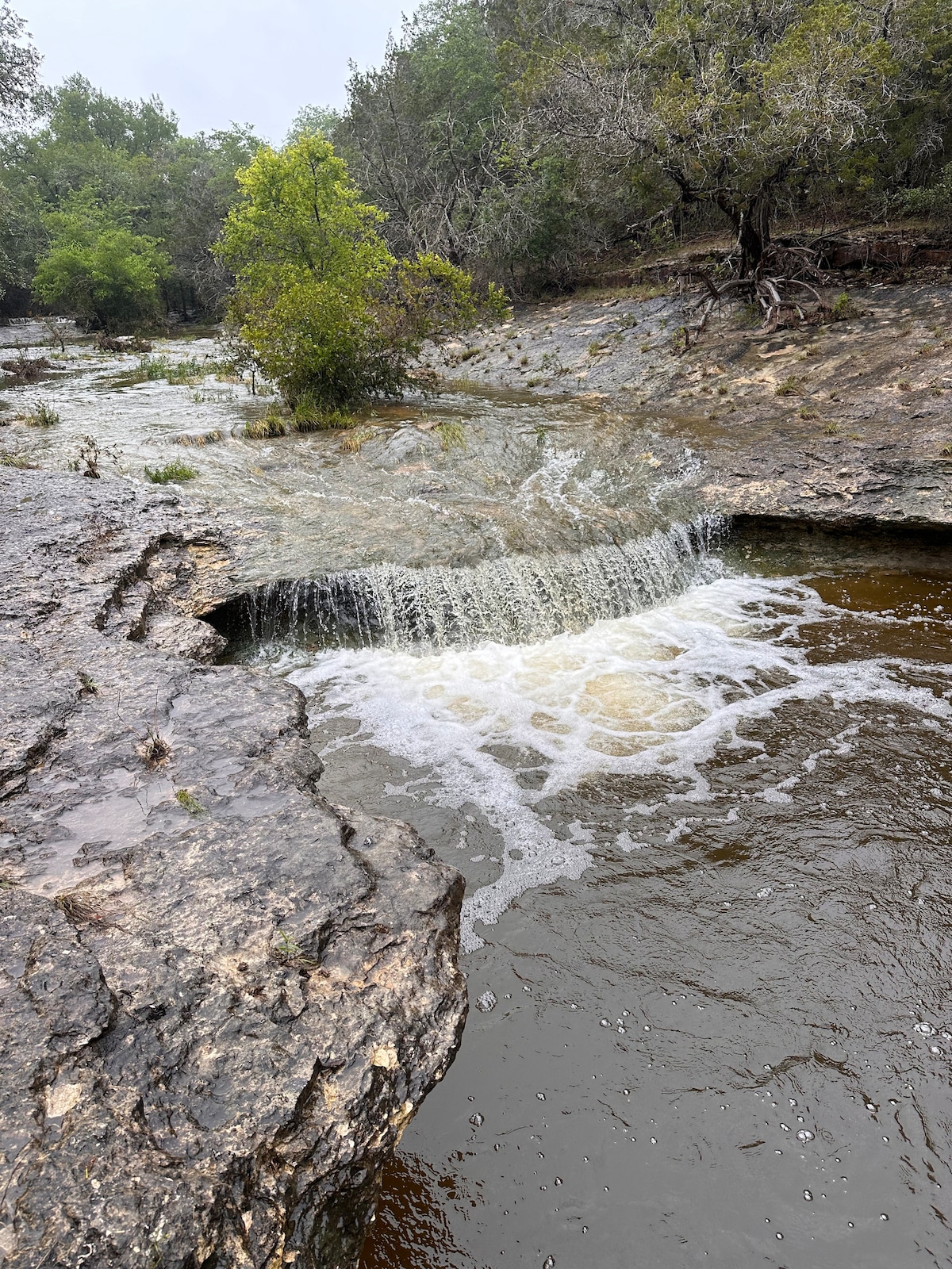 A flowing creek cascades over rocky terrain, creating gentle ripples in the clear water. Surrounding the creek, lush greenery and trees add natural beauty to the landscape. The terrain slopes gently, showcasing the rugged, natural features distinctive of the ranch.