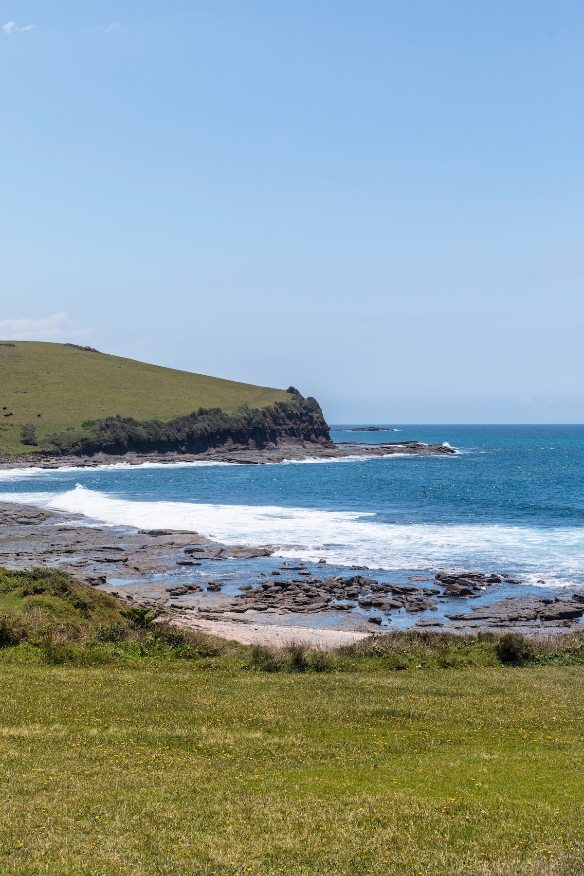 The image captures a serene coastal landscape featuring rolling hills meeting a vibrant blue ocean. Waves gently lap against a rocky shore, with patches of green grass in the foreground. Natural elements blend harmoniously, showcasing the tranquil beauty of the seaside environment.