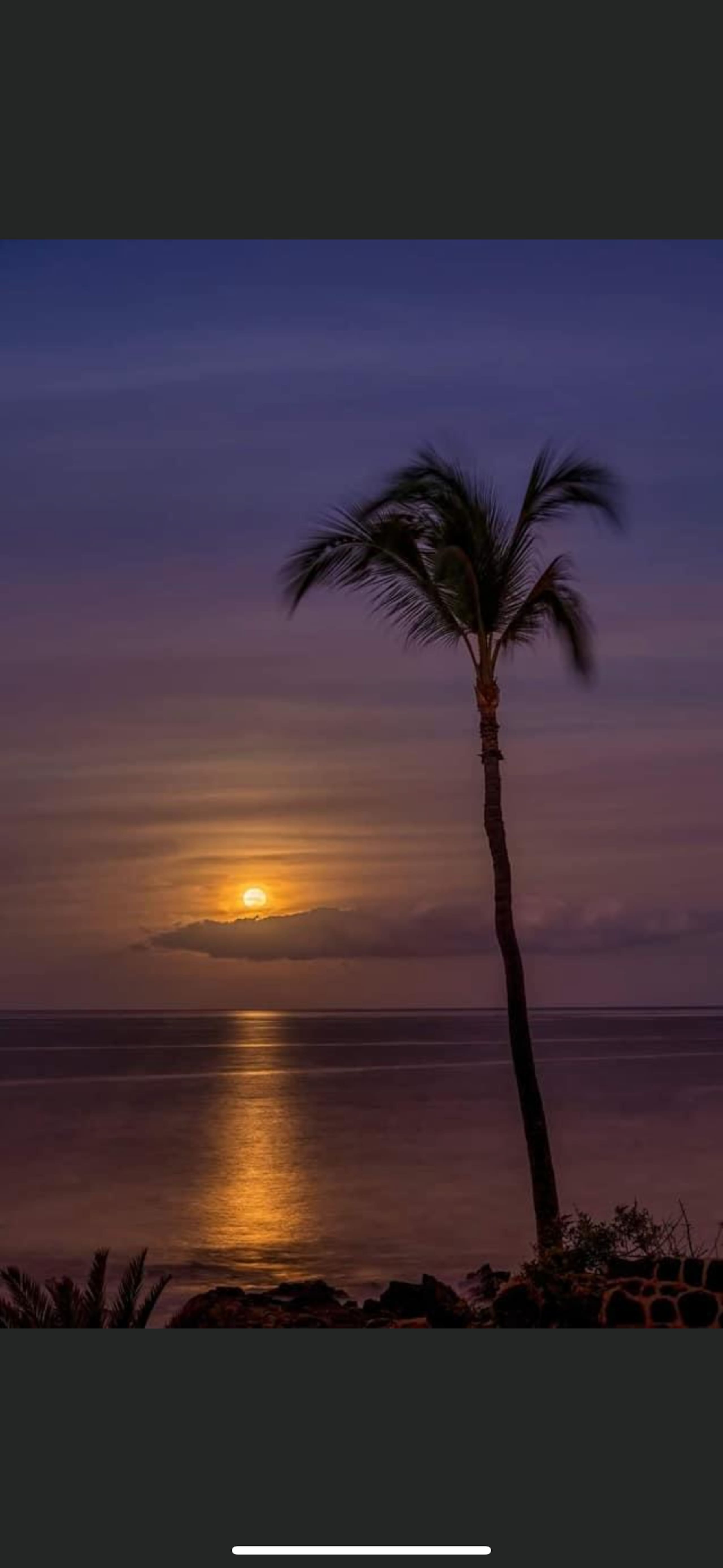 Condo in Lahaina · ★4.87 · 2 bedrooms · 3 beds · 1 bath - Image 69