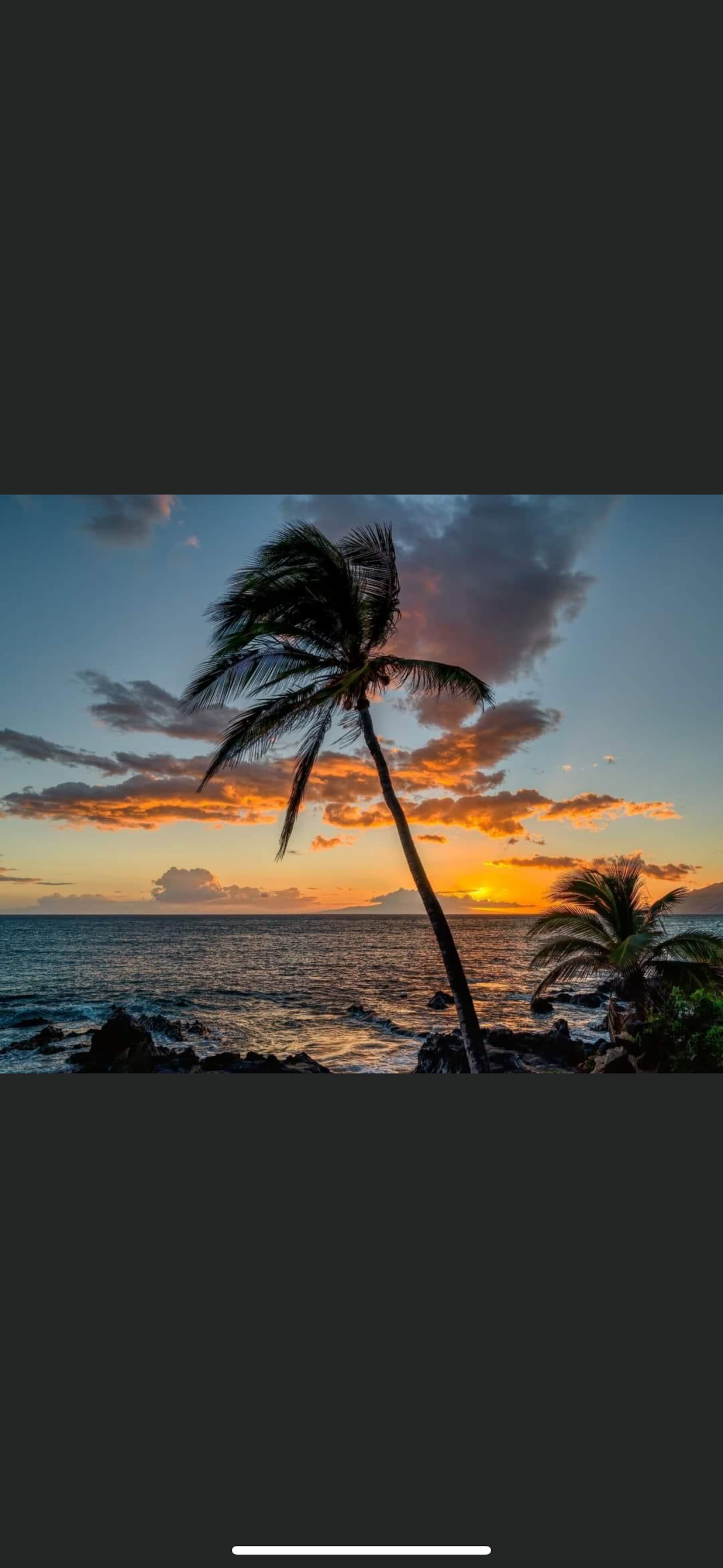 Condo in Lahaina · ★4.87 · 2 bedrooms · 3 beds · 1 bath - Image 75