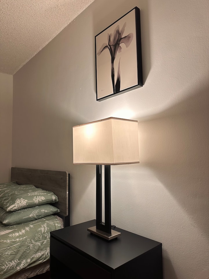 Ლამპები თეთრი ჩრდილით, შავი ლითონის ტანი, გახეხილი ნიკელის ქრომირებული ფუძე ლამპებისგან! 

Შესანიშნავი გარემო ღამის საათებში. 