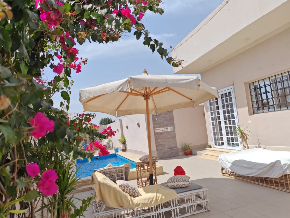 An outdoor lounging area features comfortable seating and a large umbrella for shade. Vibrant bougainvillea flowers frame the space, while a tranquil pool reflects the daylight. The setting invites relaxation and social interaction among guests.