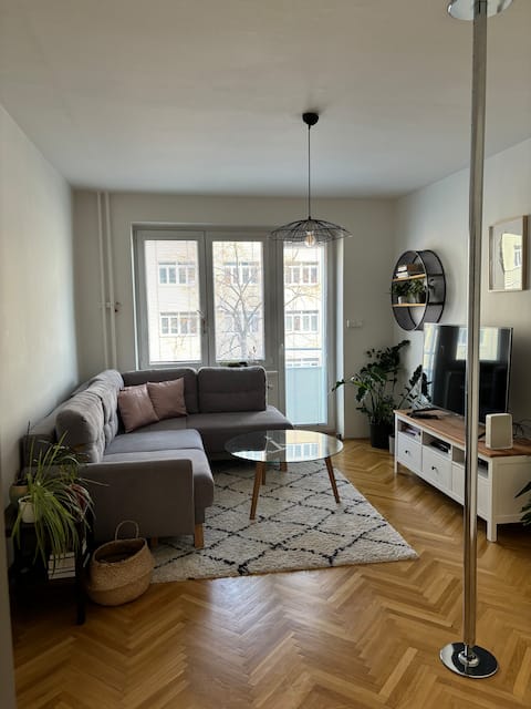 Sunny and cosy apartment close to Brno city center