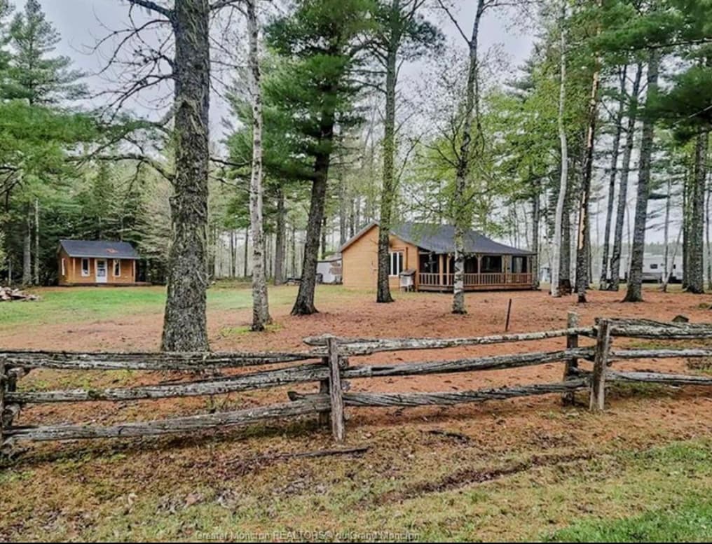 A charming cottage is nestled among tall pine trees, set on a wooden lot with a split rail fence. The cozy structure features a screened porch and a detached bunk house in the distance, surrounded by lush greenery and pine needles on the ground.