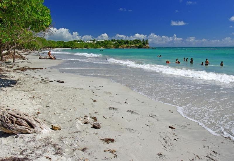 A serene beach scene is captured, showcasing soft, sandy shores meeting gentle waves. A few individuals can be seen enjoying the water while lush greenery borders the coast, enhancing the natural beauty of this tranquil setting.