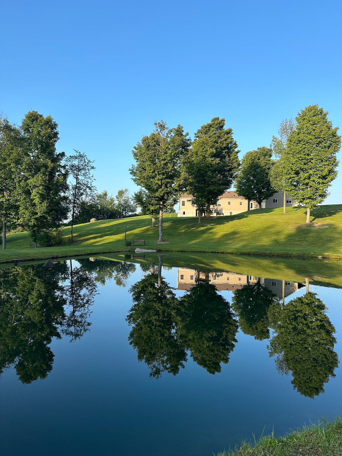 A serene pond reflects tall trees and a gently sloping grassy hillside, where a country home is situated. The clear blue sky above complements the peaceful atmosphere, enhancing the overall tranquility of the setting.
