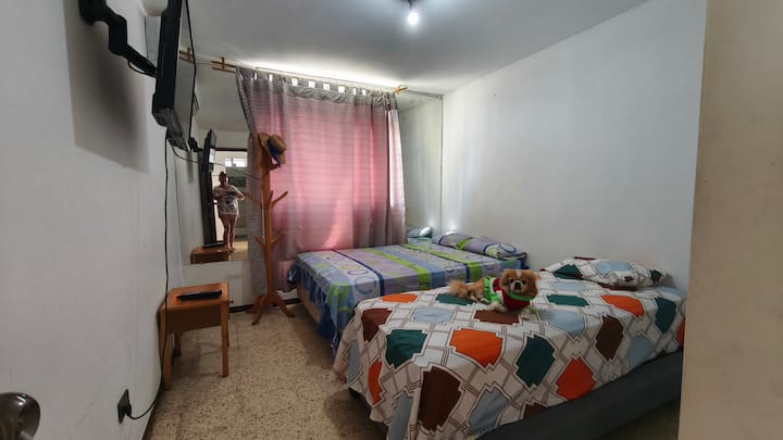 Habitación 2
