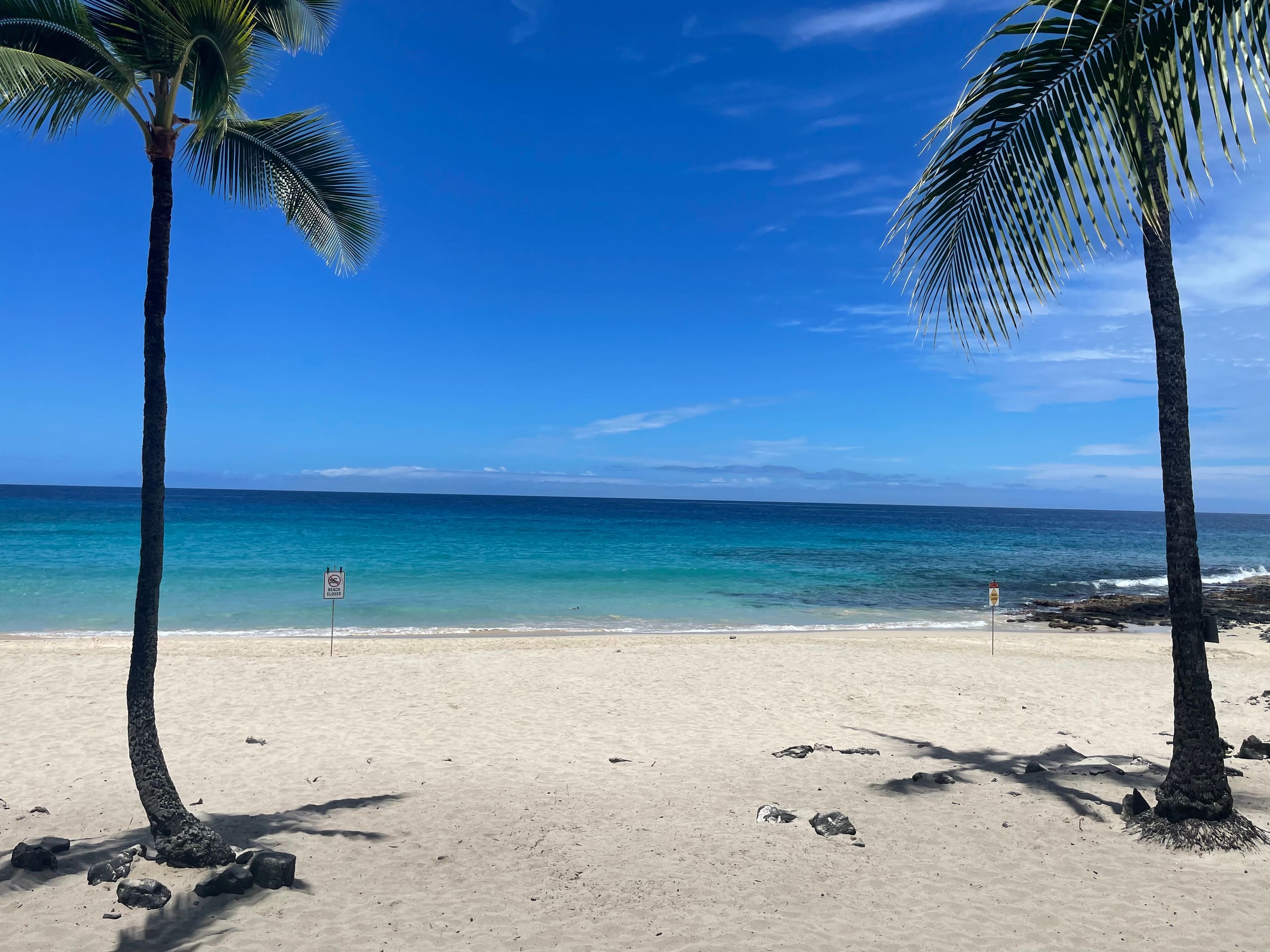 Location! Ocean views king bed walk to magic beach - Image 65