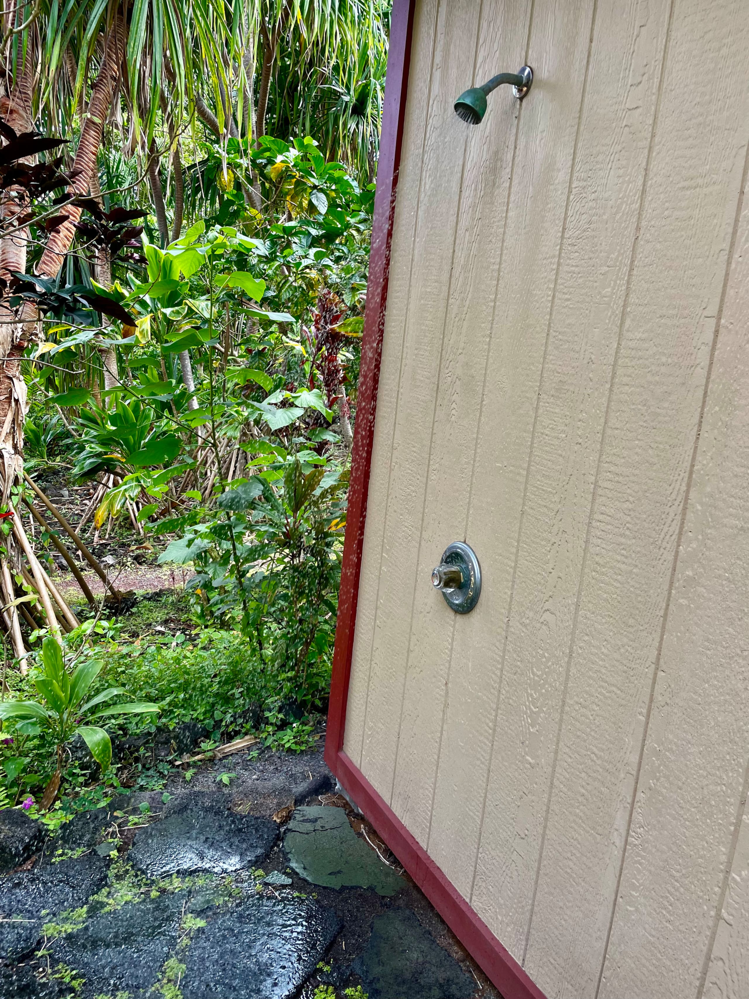 Coastal Jungle Timber Framed Cottage ~ 2 - Photo 18