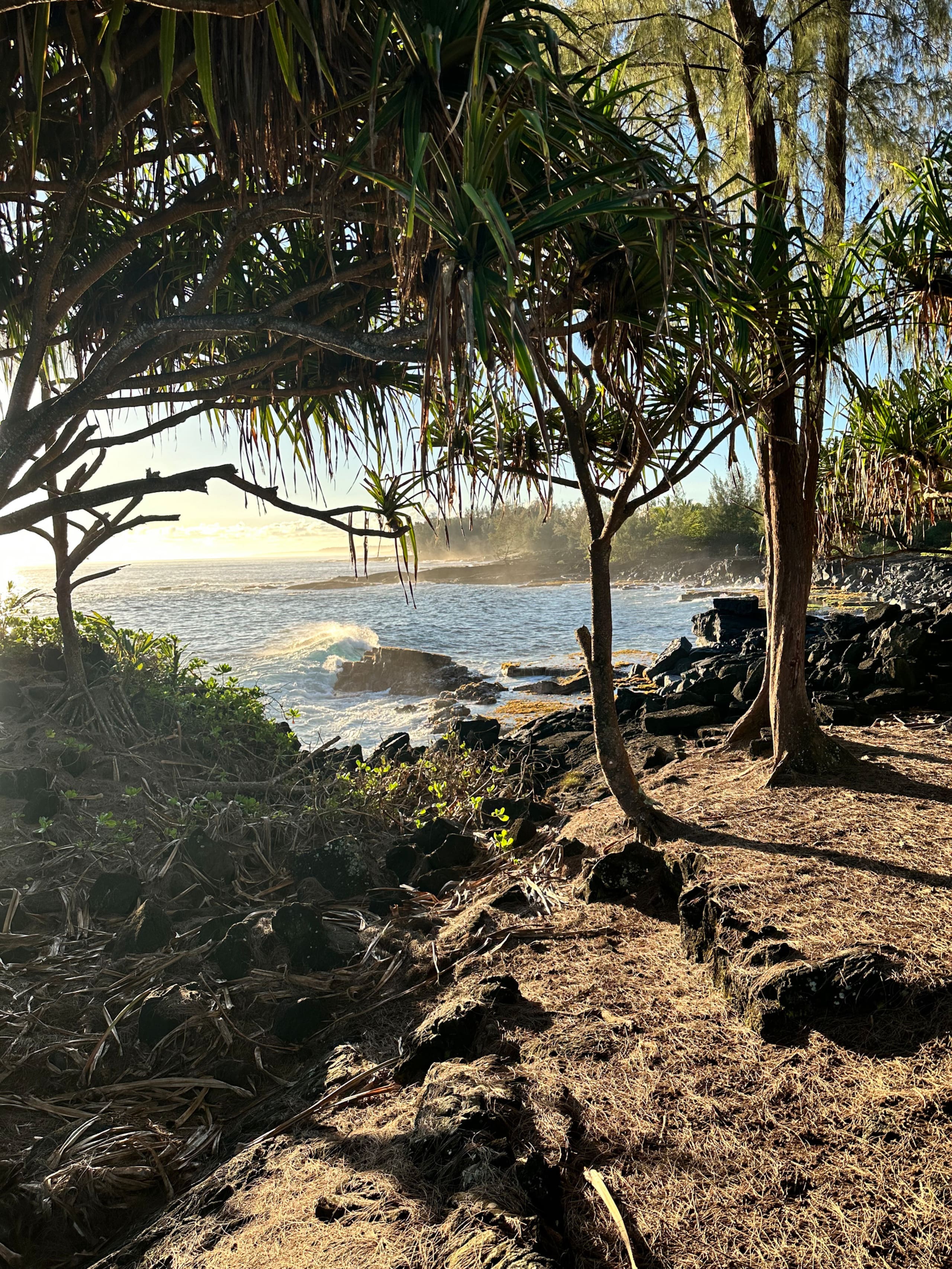 Home in Keaau · ★5.0 · 3 bedrooms · 3 beds · 2 private baths - Image 32