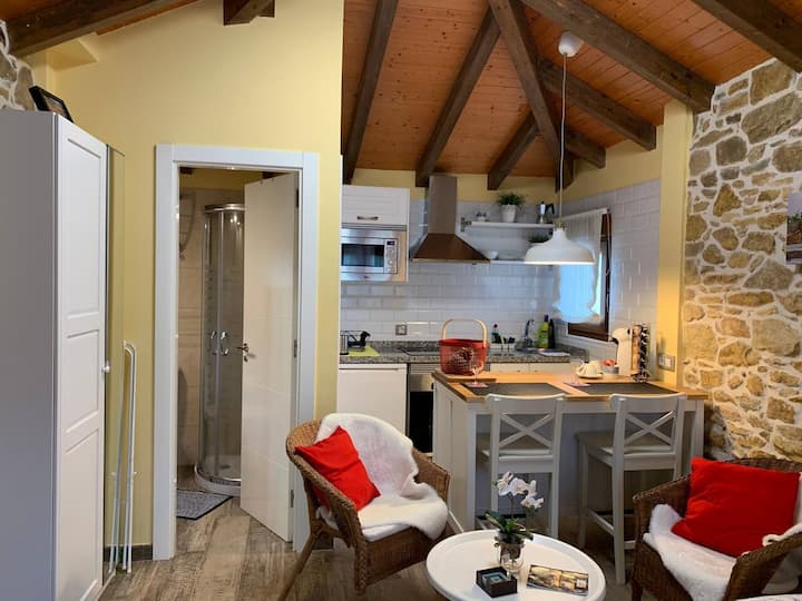 Maison à Biescas Avec Piscine - Salas