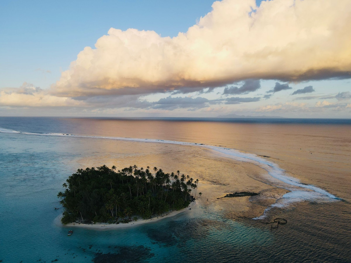 An aerial view captures a small, lush island surrounded by clear blue waters. Tall palm trees dot the landscape, contrasting with the sandy shores. Soft clouds drift across the sky during sunset, reflecting warm hues on the water's surface, creating a serene and peaceful atmosphere.