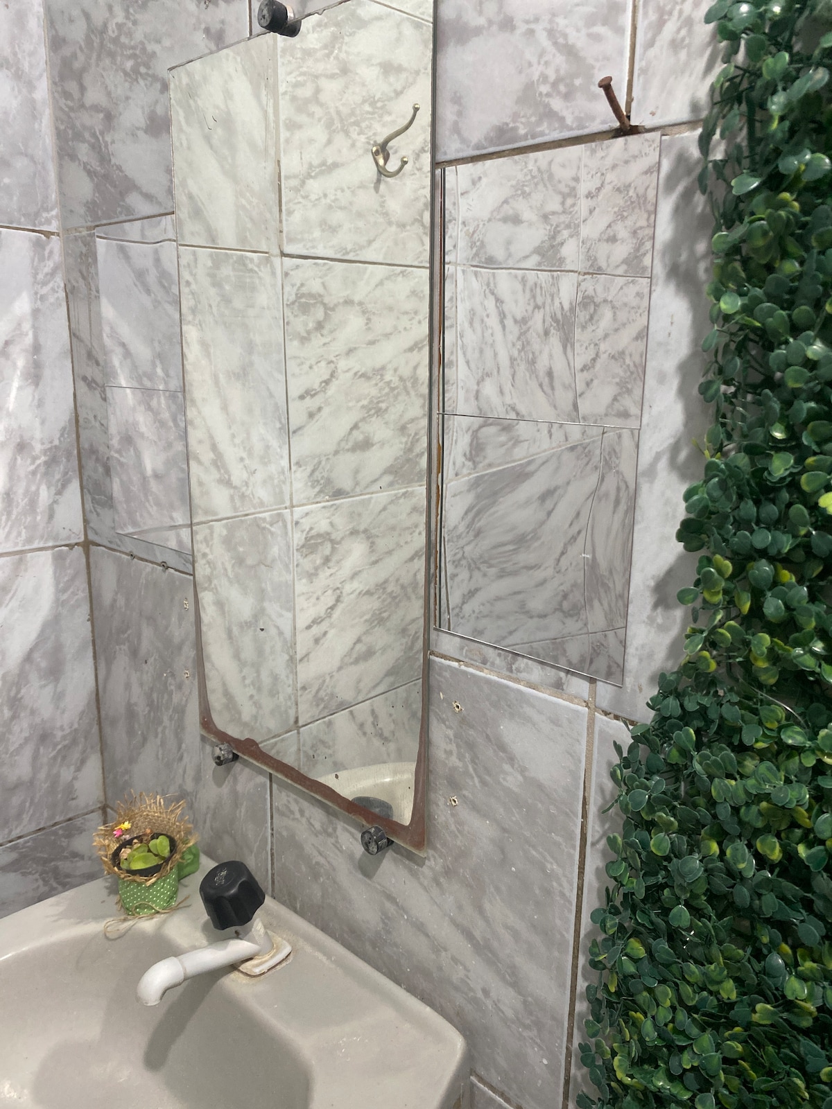 A compact bathroom space features tiled walls in a neutral pattern. A mirrored cabinet is mounted above a small sink, providing practicality. Decorative greenery is present to one side, adding a touch of nature to the room.