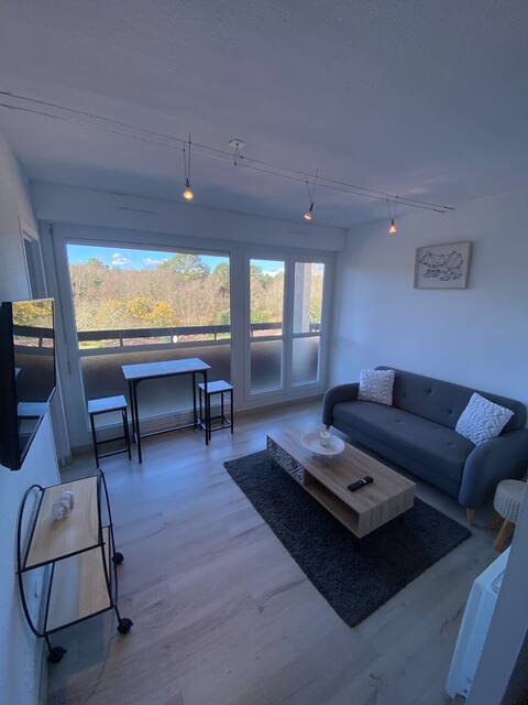 Apartment with balcony in Mont de Marsan