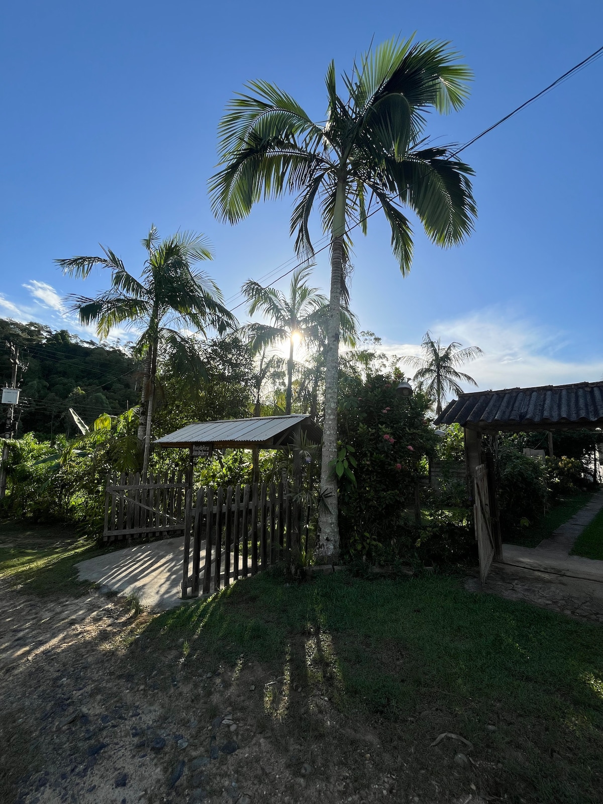 Tall palm trees are depicted, framing an open area with greenery. Bright sunlight filters through the foliage, casting shadows on the ground. A wooden fence marks the entrance to a garden, enhancing the natural setting of the pousada.