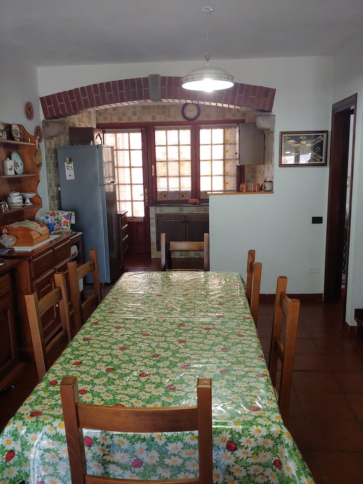 L'elicriso - Sardinië