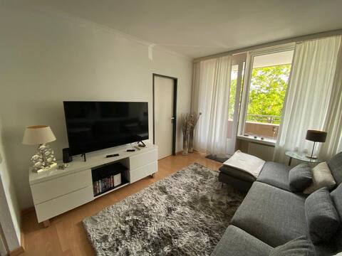 Cosy Apartment