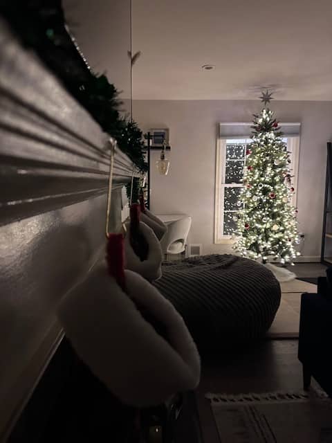 Holiday Decorated 8 beds LUX Home close to DC