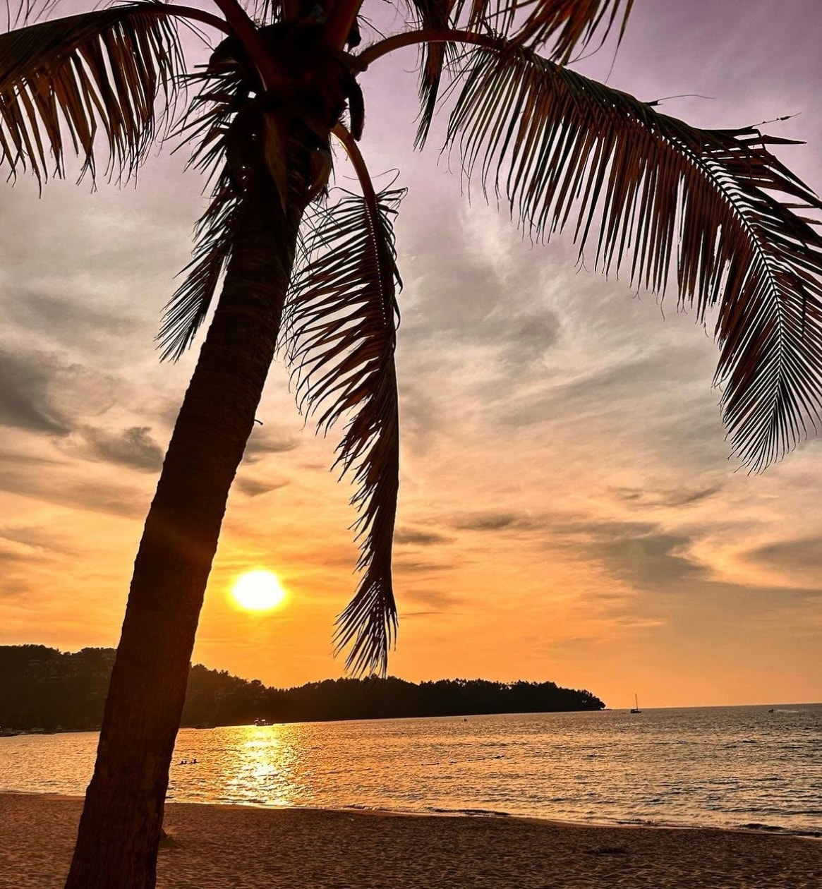 A tranquil beach scene is captured at sunset, featuring a silhouette of a palm tree against a vibrant sky. The sun sets over the water, casting a warm golden light, while gentle waves can be seen lapping at the sandy shore in the foreground.