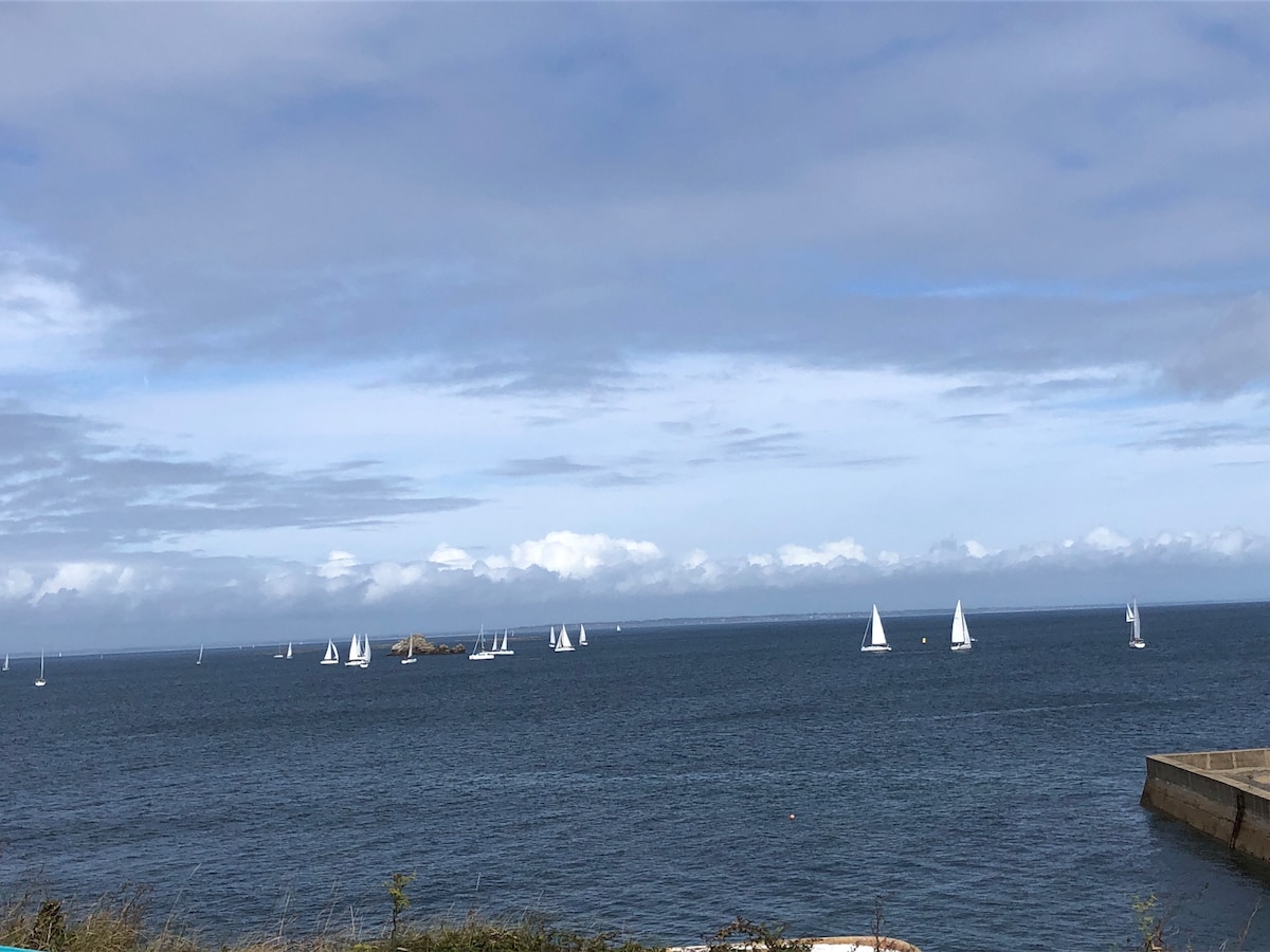 A serene view of the ocean is presented, dotted with numerous sailboats gliding gracefully across the water. The sky exhibits a blend of soft blue and white clouds, capturing a calm coastal atmosphere.