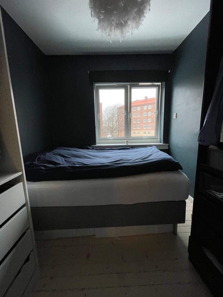 חדר שינה כהה עם וילון מואר. מיטה כפולה. 