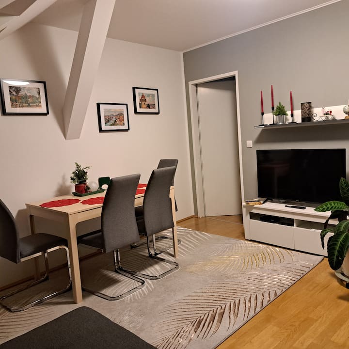 Wohnung 60m²,2 Zimmer, 4 Gäste - Graz