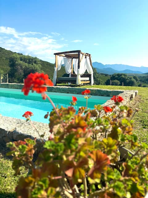 PediLione Charming Sheepfold