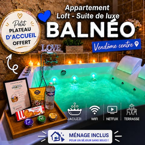 “Balnéo Vendôme” apartment with hot tub