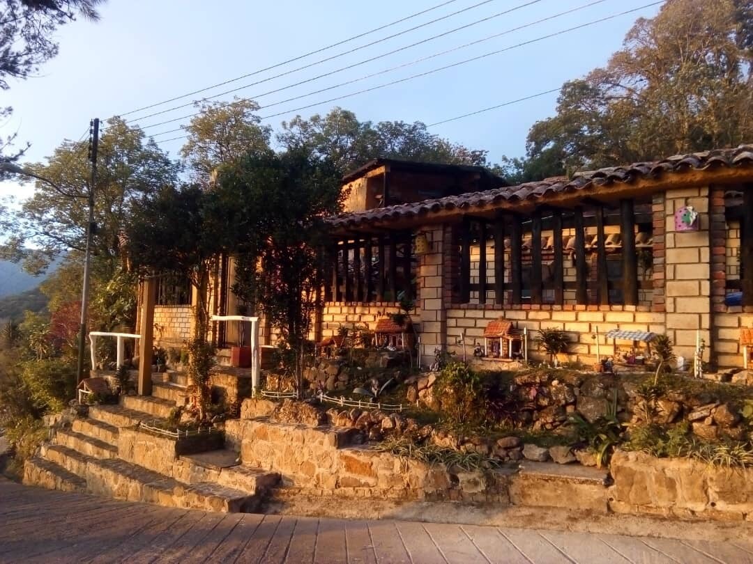 A natural stone pathway leads to a rustic structure featuring large windows and a wooden roof. The building is surrounded by greenery, with sunlight illuminating the exterior. Steps made of stone guide visitors toward the inviting entrance.