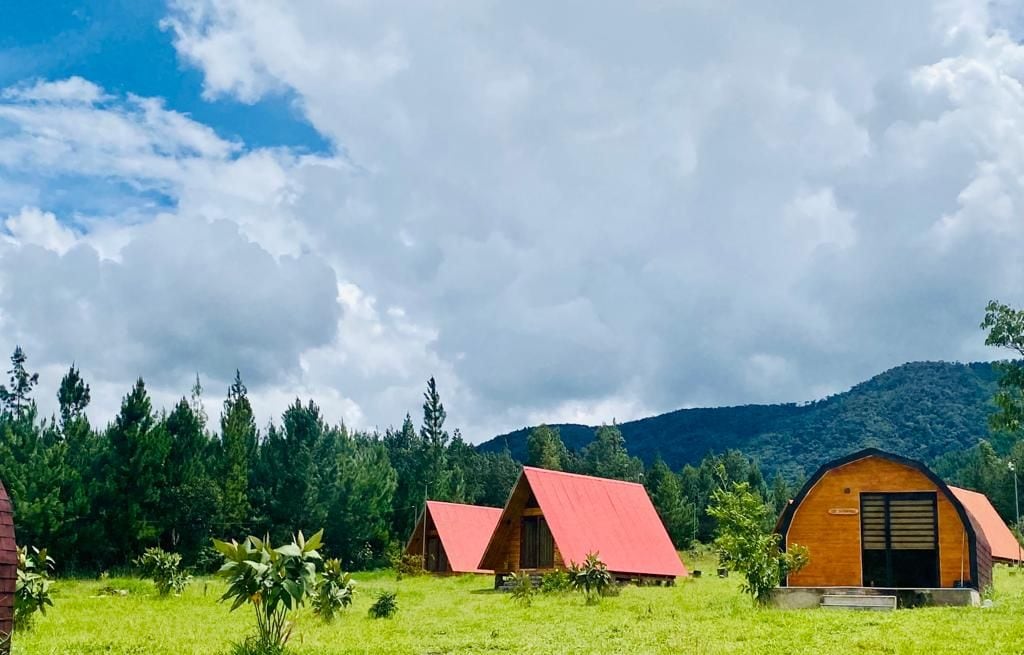 Four cabins, featuring distinctive red roofs, are set amidst lush greenery and tall trees. The sky is partly cloudy, with the backdrop of a mountain range visible in the distance. Open space surrounds the cabins, enhancing the tranquil natural setting.