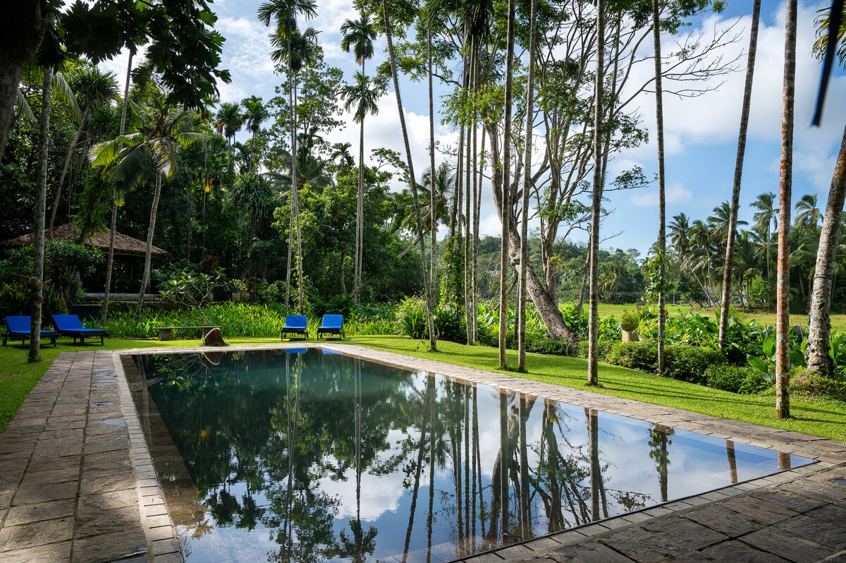 A serene swimming pool is surrounded by lush green gardens and tall palm trees, reflecting the vibrant foliage above. Two blue sun loungers are placed beside the pool, inviting relaxation in the tranquil outdoor space.