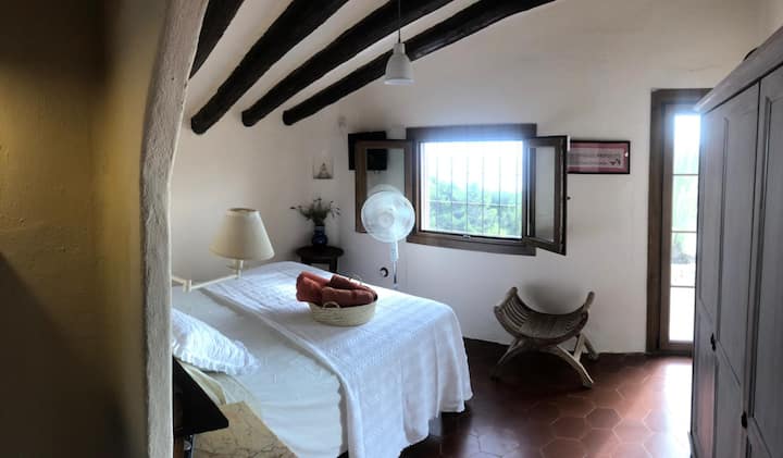 Habitación 1
