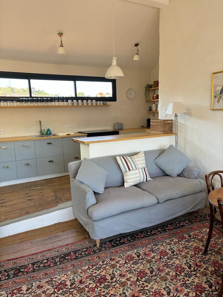 Central 3br Apt With Balcony (Sleeps 6-8) - Aude