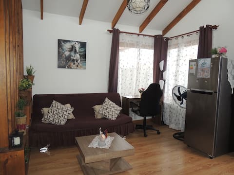 Top performing Airbnb: Two-person cabin 15 min from downtown in Magallanes And Chilean Antarctica Region