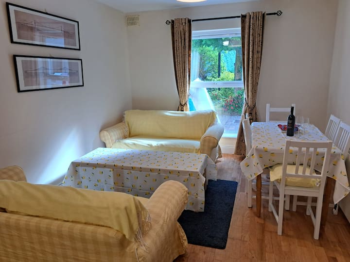 Courtyard Off Long Walk - Galway